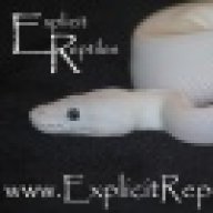 FlawlessReptiles