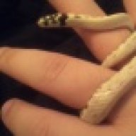 XxCodyDarnellxX