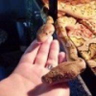 snake_tamer