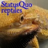 statusquo