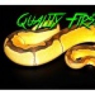 DandKReptiles