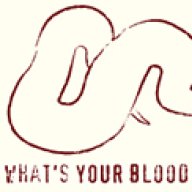 bloodpythons.com