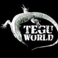 Teguworld