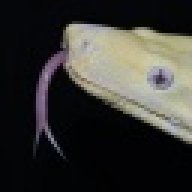 Zincubus