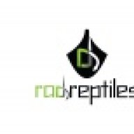 RAD_Reptiles