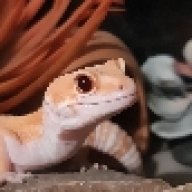 Cordyceps