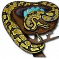 rabernet
