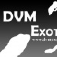 DVMExotics