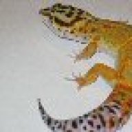 LeosForLess