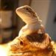 Dragons Del Sol