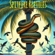 Spitfire