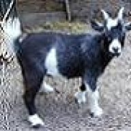 Epona142