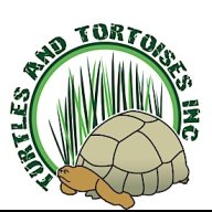 TURTLES AND TORTOISES INC