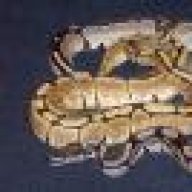 Dixie Serpent Den