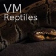 vmreptiles