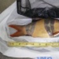 fishstick