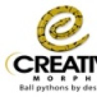 Creative Morphs