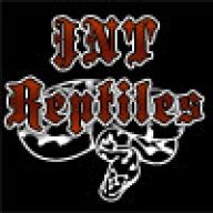 jntreptiles
