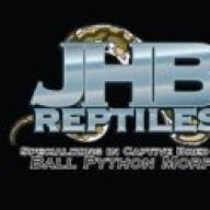 JHB Reptiles