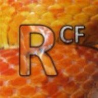 RobbiesCornField