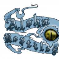 alohareptiles