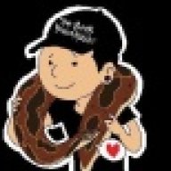 bloodpython_MA