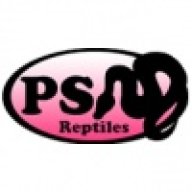 PSReptiles