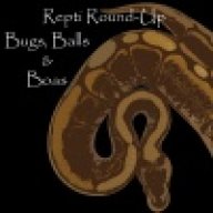 ReptiRound-up