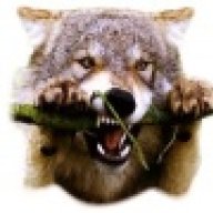 WolfPaw