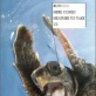 turtleman66