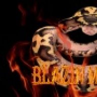 Blazinmorphs