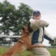 MalinoisK9