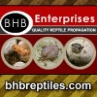 bhbbill