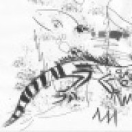 geckoflying