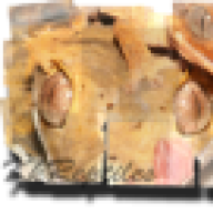 kkreptiles
