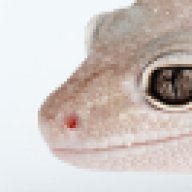 mrlloyd
