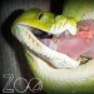 GreenTreePython13