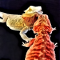 Dragon_Lover713