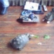 lockness95@hotmail.com