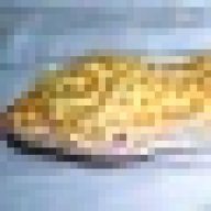Pudgsr