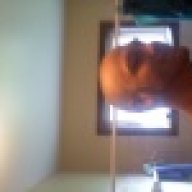 scoobasteve810