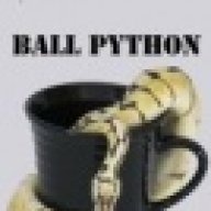 Ball Python Cafe