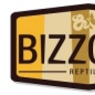 jasbiz31