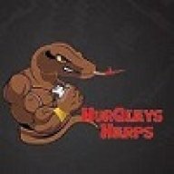 HurQleys Herps