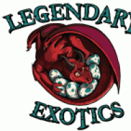 AceOfSpadesReptiles