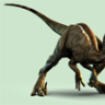 HerpsOfNM
