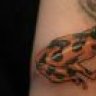 Rivergecko