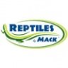 Reptiles By Mack