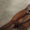 redrob13B