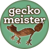 geckomeister